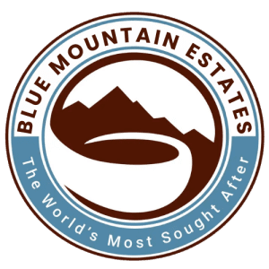 blue_mountain-estates_logo.png